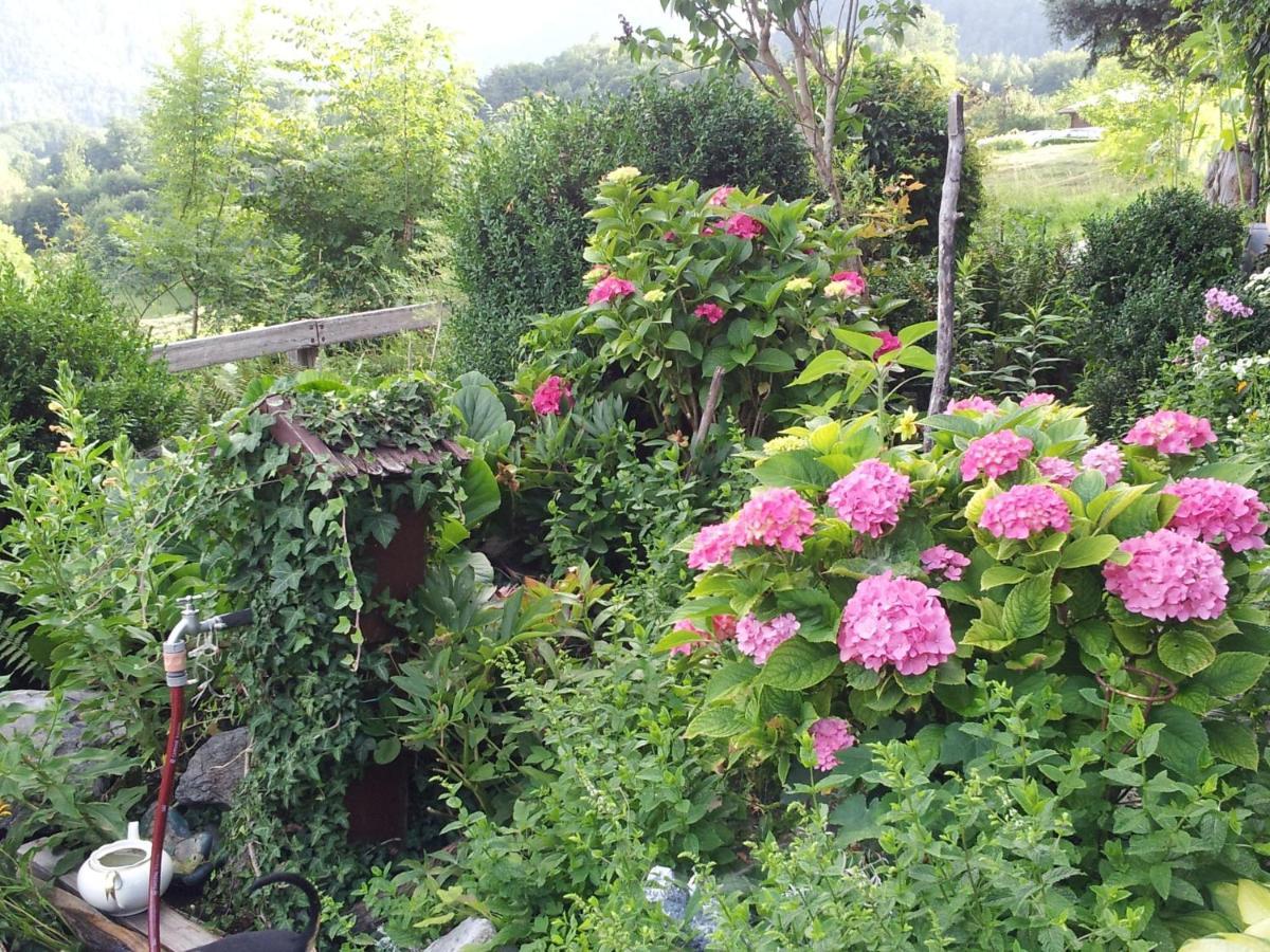 Pension Schwarzenbach บาดไรเฮนฮัล ภายนอก รูปภาพ